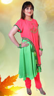 Picture of FEG05 Chiffon Frock With Embroidered Overall In Parrot Green Color